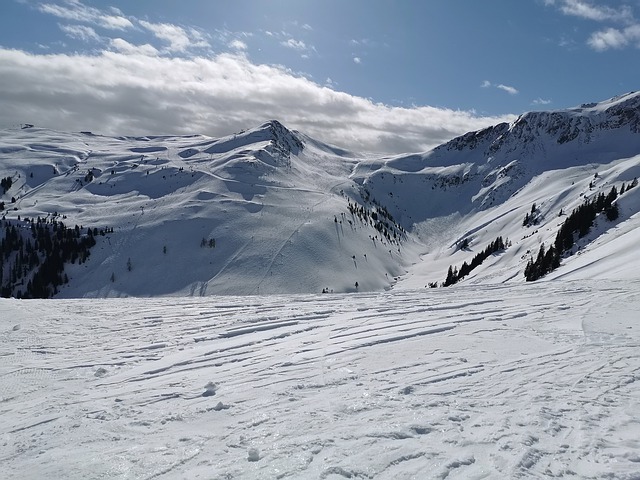 雪景色